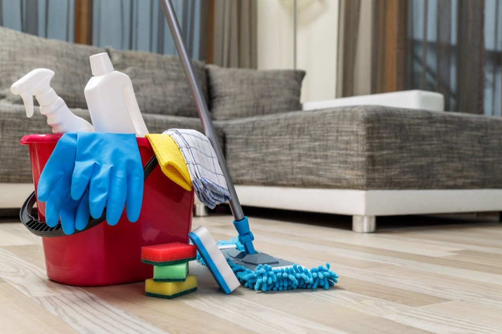 Home cleaning supplies in a modern living room