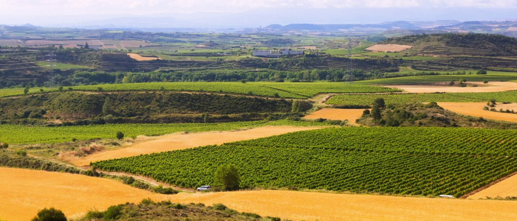 Rolling green hills and rural land landscape